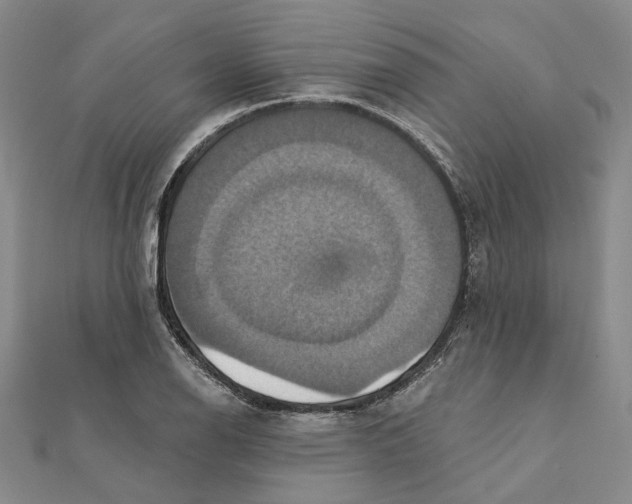 X0000111361126200908071148