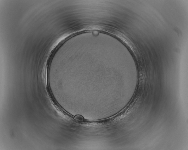 X0000111361127200908071148