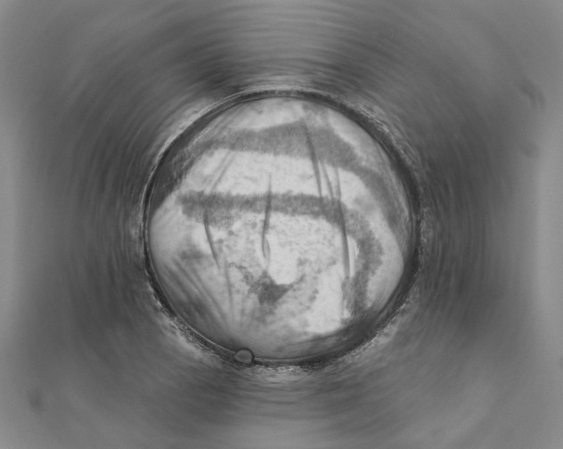 X0000111361129200908071148