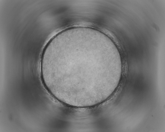 X0000111361130200908071148