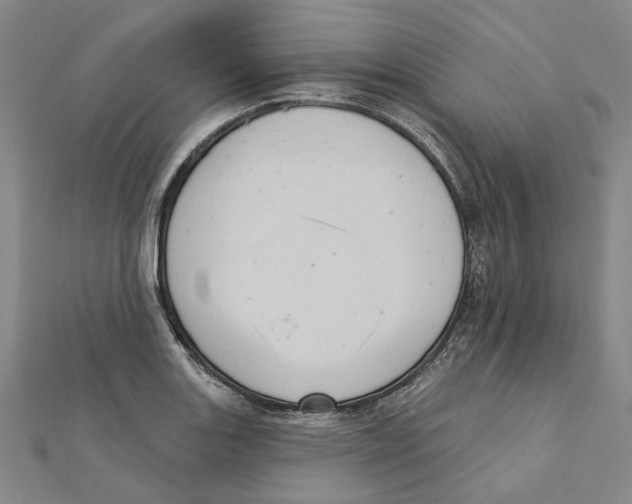 X0000111361131200908071148