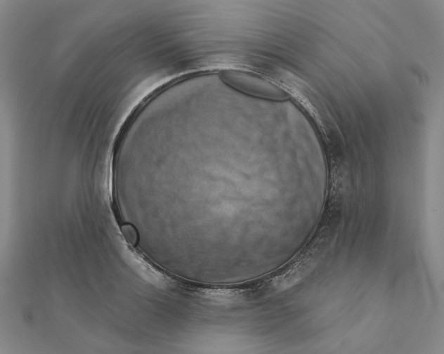 X0000111361132200908071148