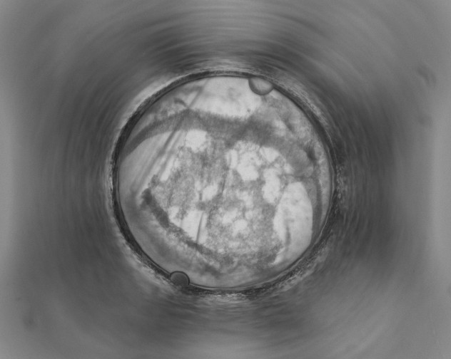 X0000111361133200908071148