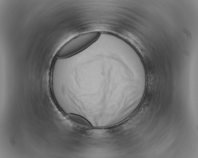 X0000111361134200908071148