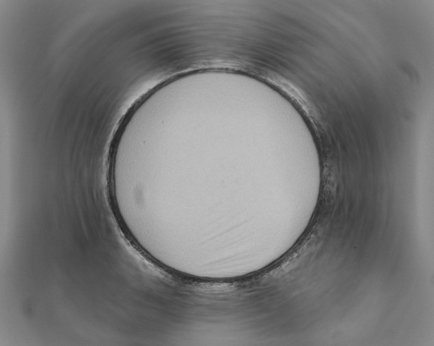 X0000111361135200908071148