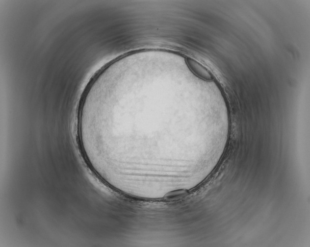 X0000111361136200908071148