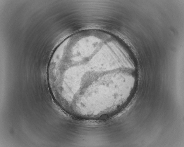 X0000111361137200908071148