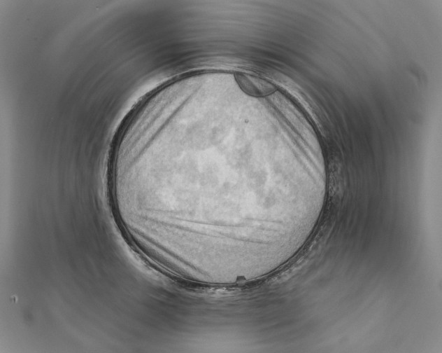 X0000111361139200908071148