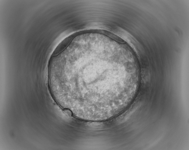 X0000111361140200908071148