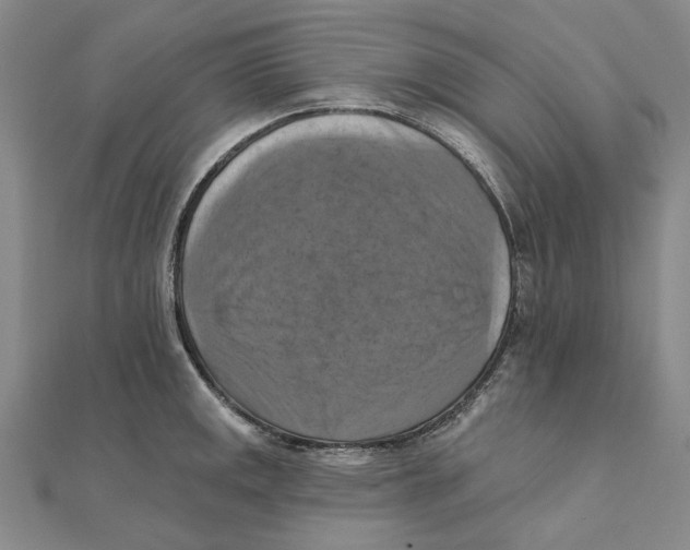 X0000111361141200908071148