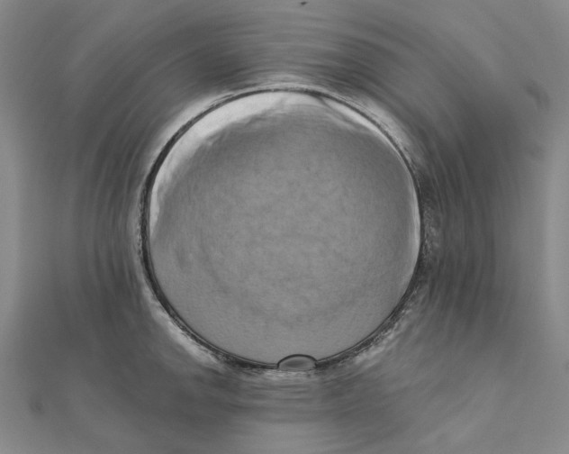 X0000111361142200908071148