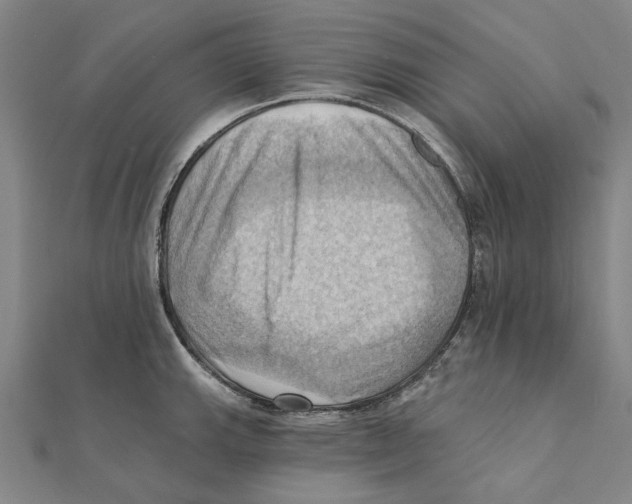 X0000111361143200908071148