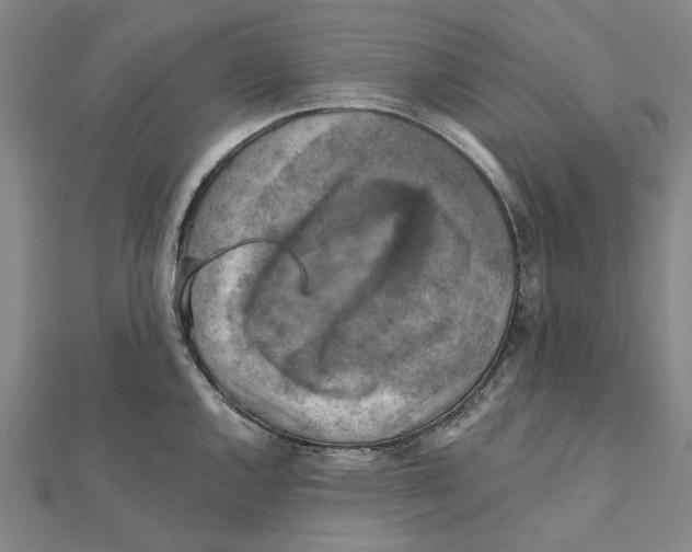 X0000111361144200908071148