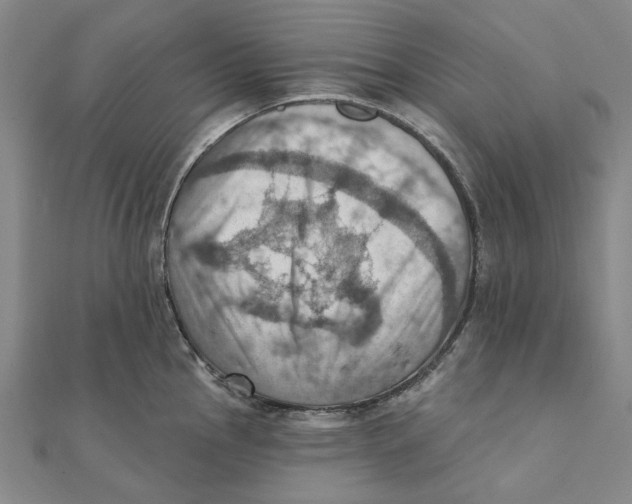 X0000111361145200908071148