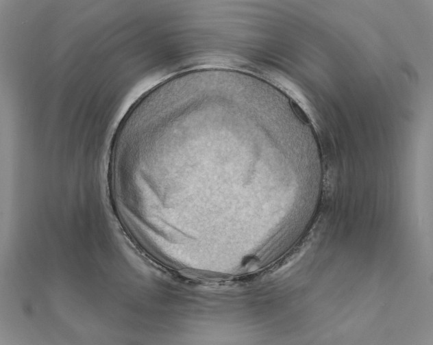 X0000111361146200908071148