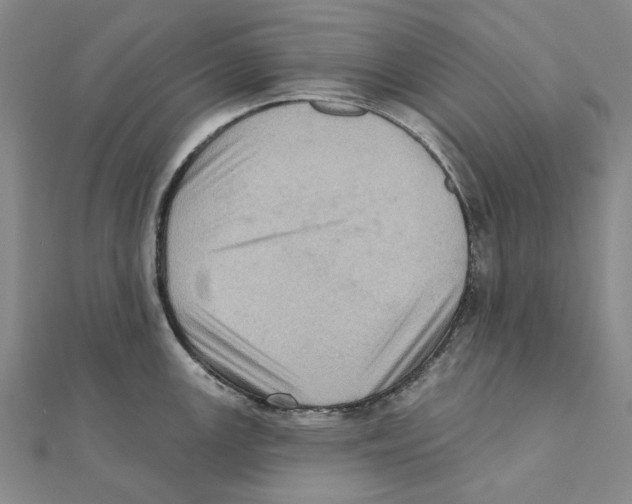 X0000111361147200908071148