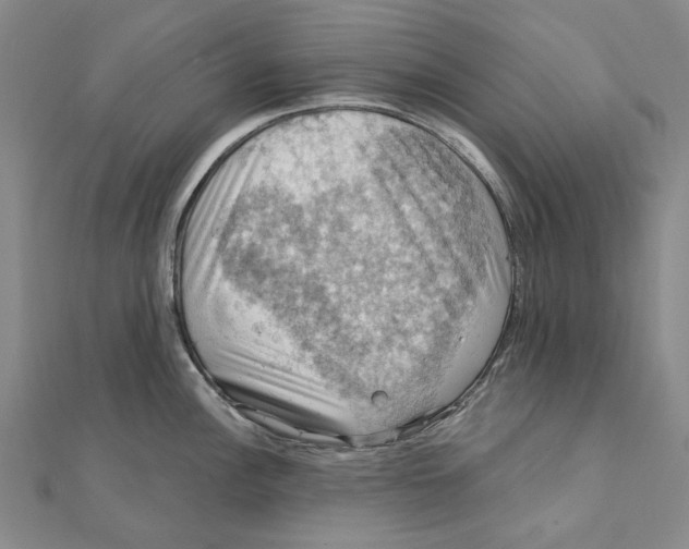 X0000111361148200908071148