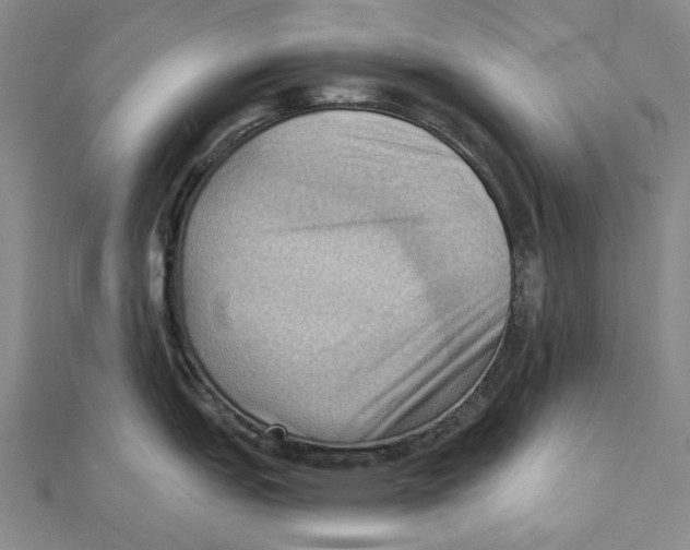 X0000111361151200908071148