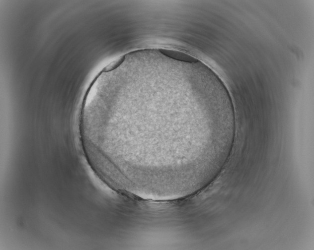 X0000111361152200908071148