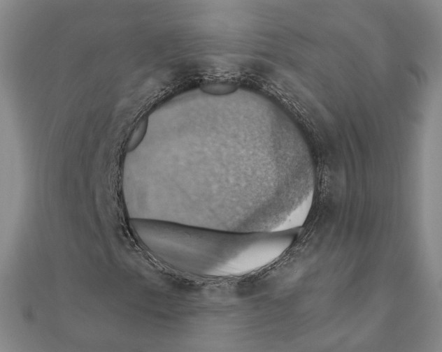 X0000111361153200908071147