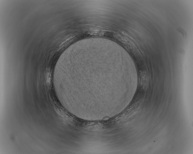 X0000111361154200908071147