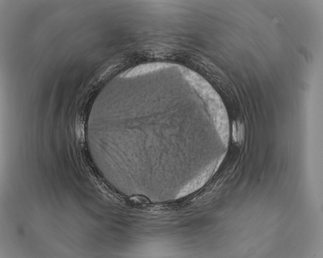 X0000111361155200908071147