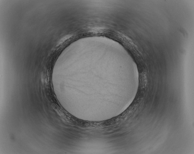 X0000111361158200908071147