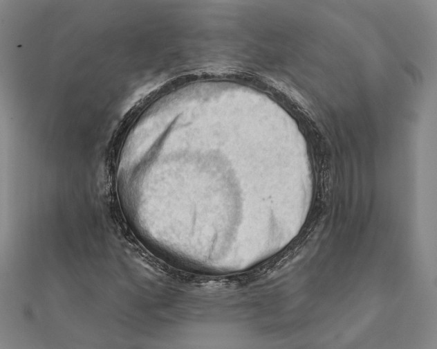 X0000111361160200908071147