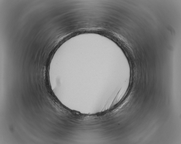 X0000111361161200908071147