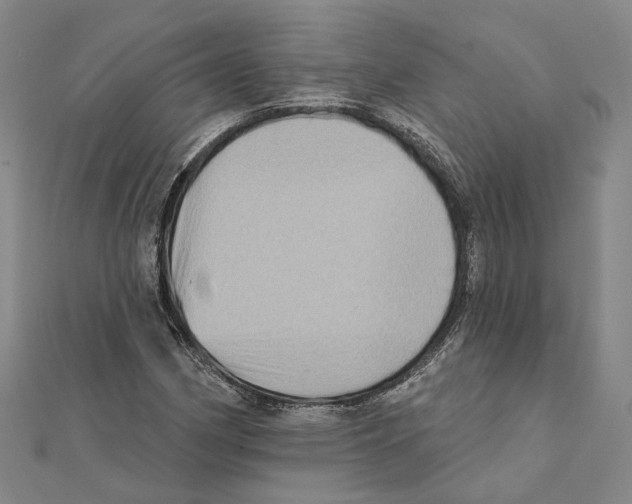 X0000111361162200908071147