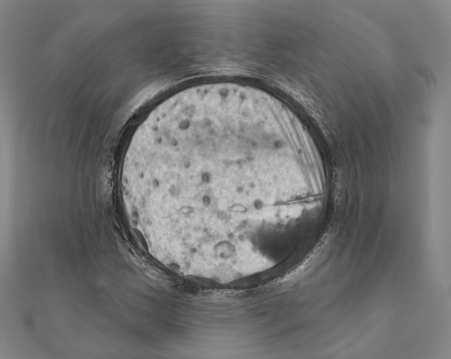 X0000111361163200908071147