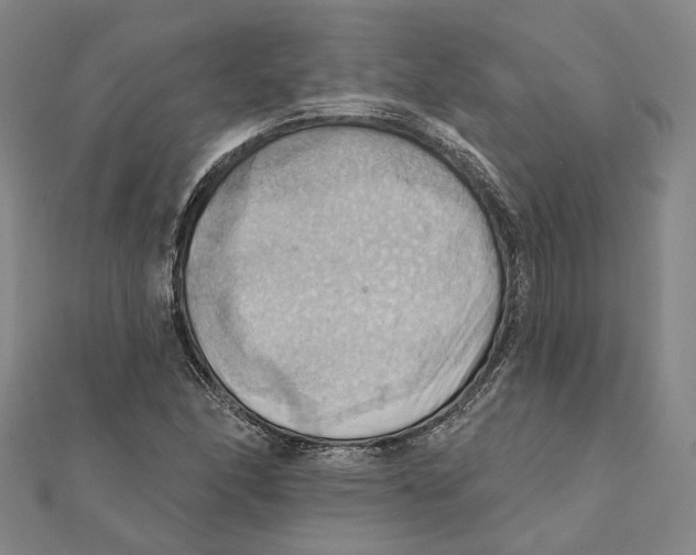 X0000111361166200908071147