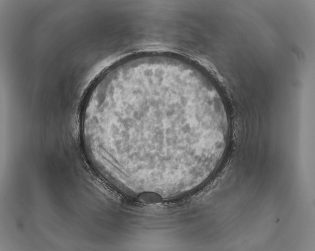 X0000111361167200908071147