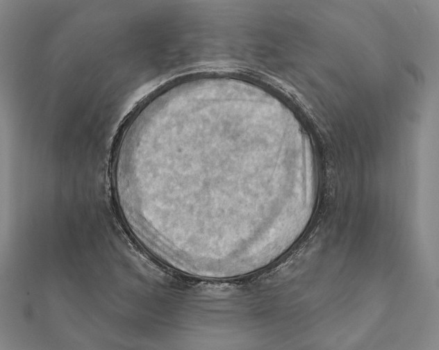 X0000111361168200908071147