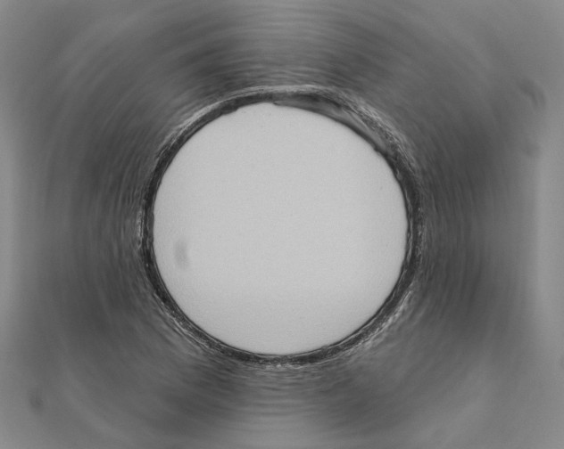 X0000111361169200908071147