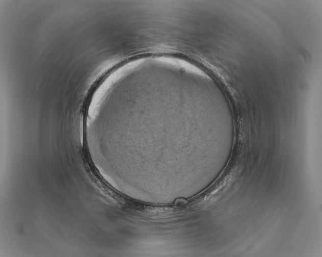 X0000111361171200908071147