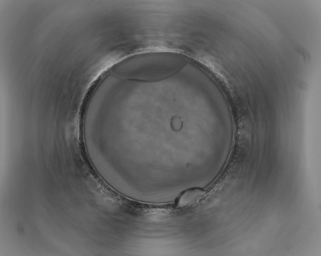 X0000111361173200908071147