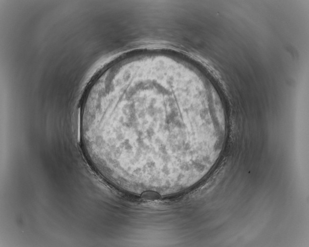 X0000111361175200908071147