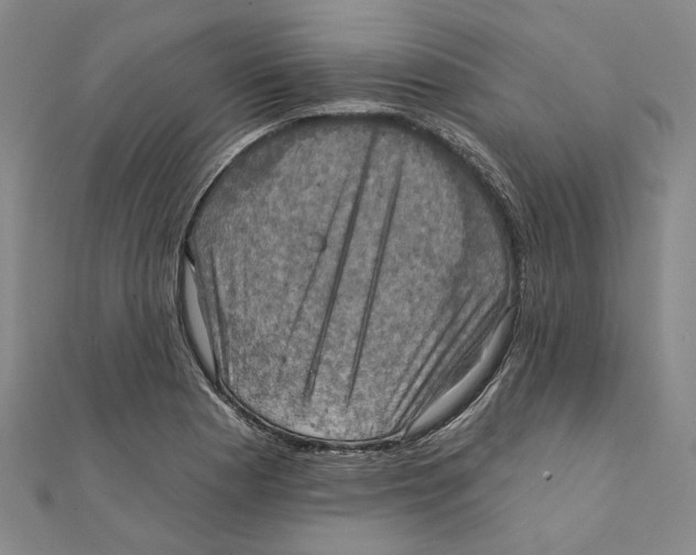 X0000111361177200908071147