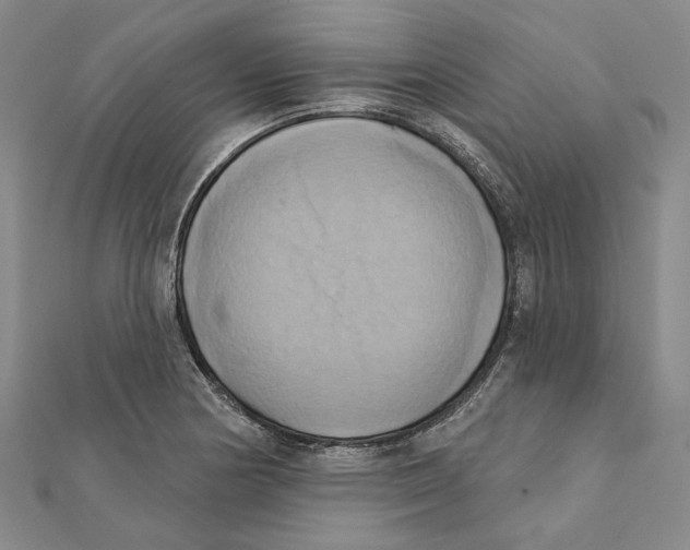 X0000111361178200908071147