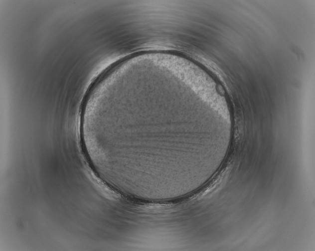 X0000111361179200908071147