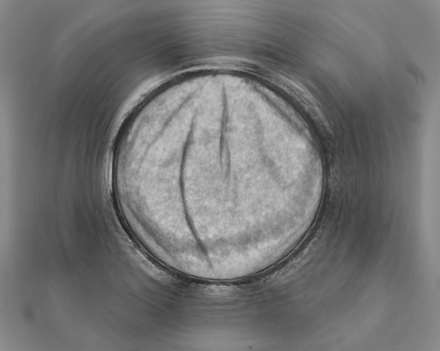 X0000111361180200908071147