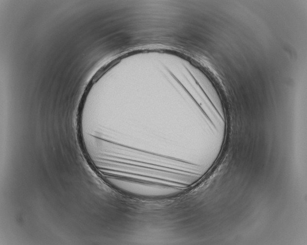 X0000111361181200908071147