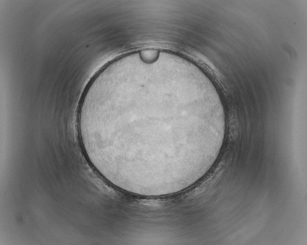 X0000111361182200908071147