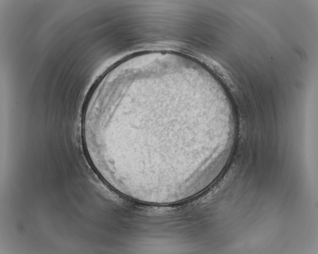 X0000111361184200908071147