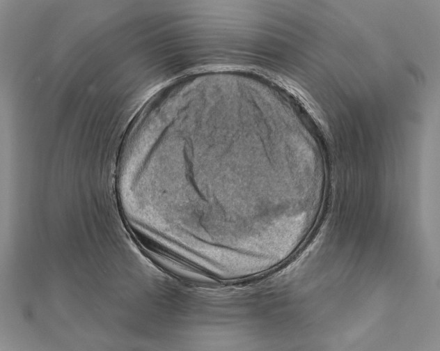 X0000111361185200908071147