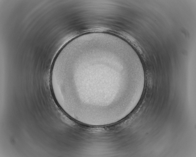 X0000111361186200908071147