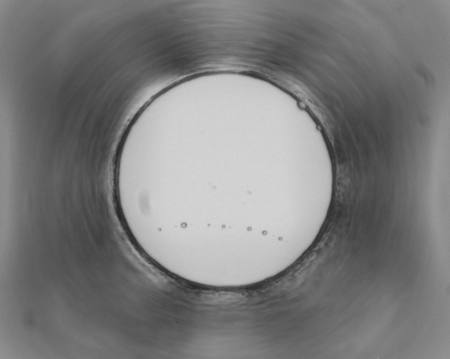 X0000111361187200908071147