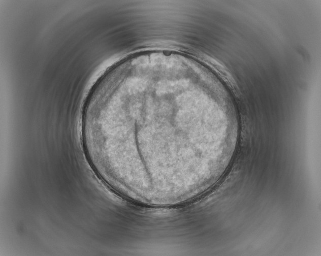 X0000111361188200908071147