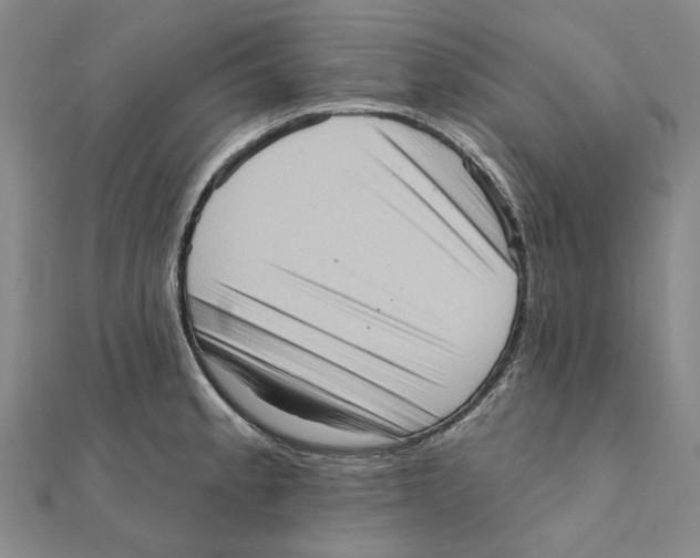 X0000111361189200908071147